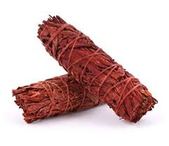 4" Smudge Sage Sticks - REGEN THE BODY