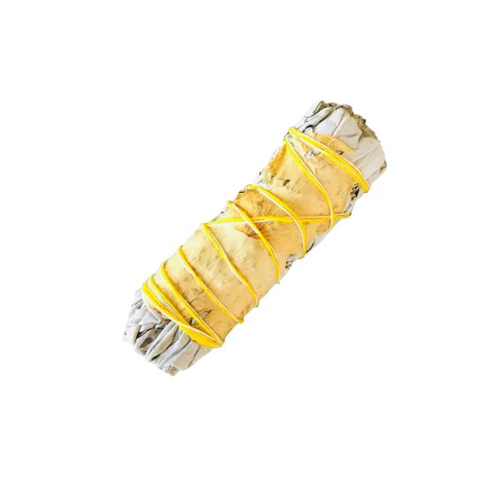 YELLOW ROSE SAGE 4"