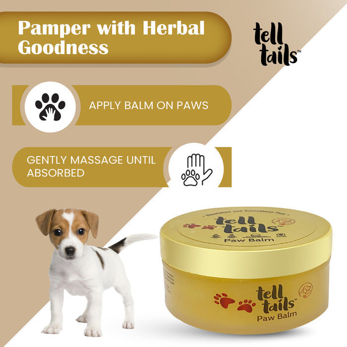 5 in 1 Grooming Box For Dogs