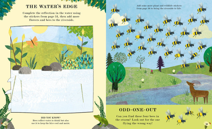 Book - Bee: Natures Tiny Miracle Activity Book - Spread 1
