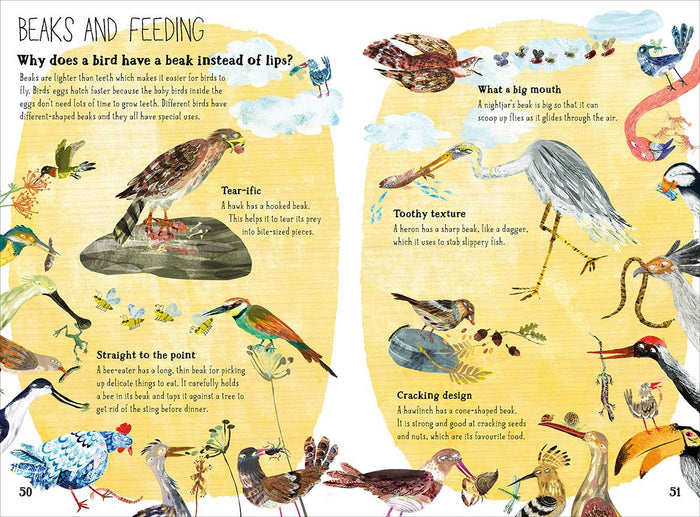 Book - Big Book of Birds - Spread