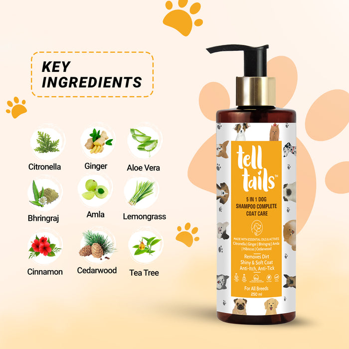 Daily Essentials Pack For Dogs