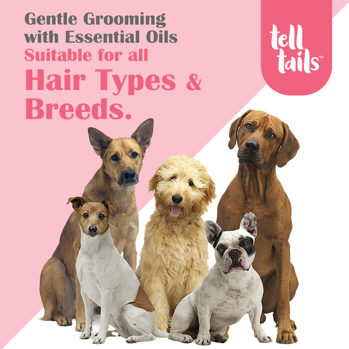 Daily Essentials Pack For Dogs